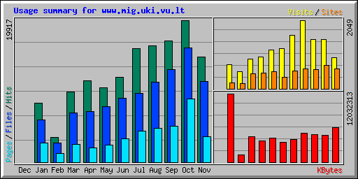 Usage summary for www.mig.uki.vu.lt