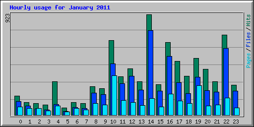 Hourly usage for January 2011